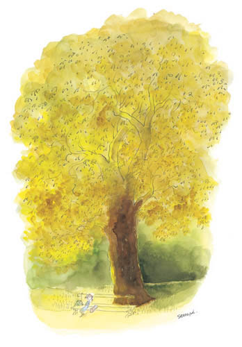 Jean Jacques Sempé - arbre-jaune