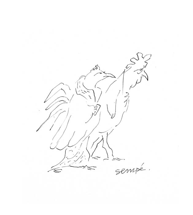 Jean Jacques Sempé - couple-poulets