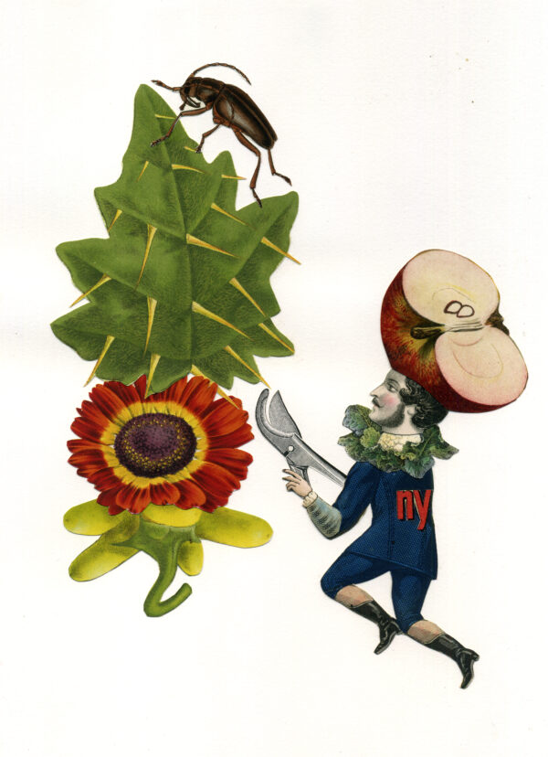 Emmanuel Pierre - Jardinier-1