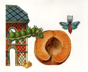 Emmanuel Pierre - Jardinier-3