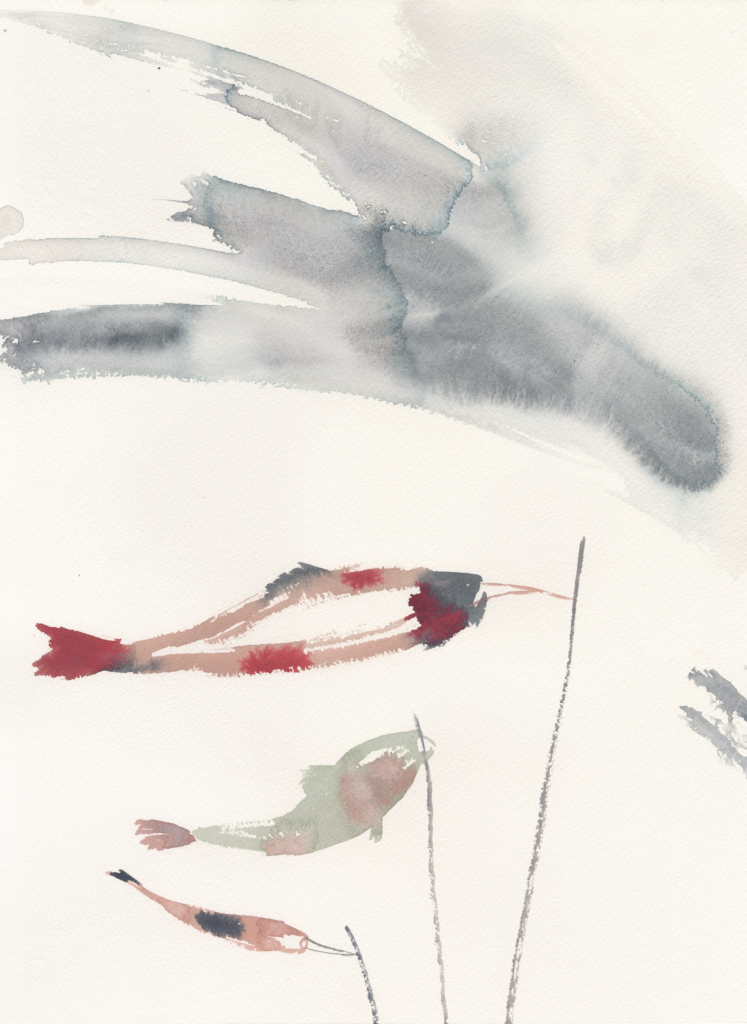 pesce