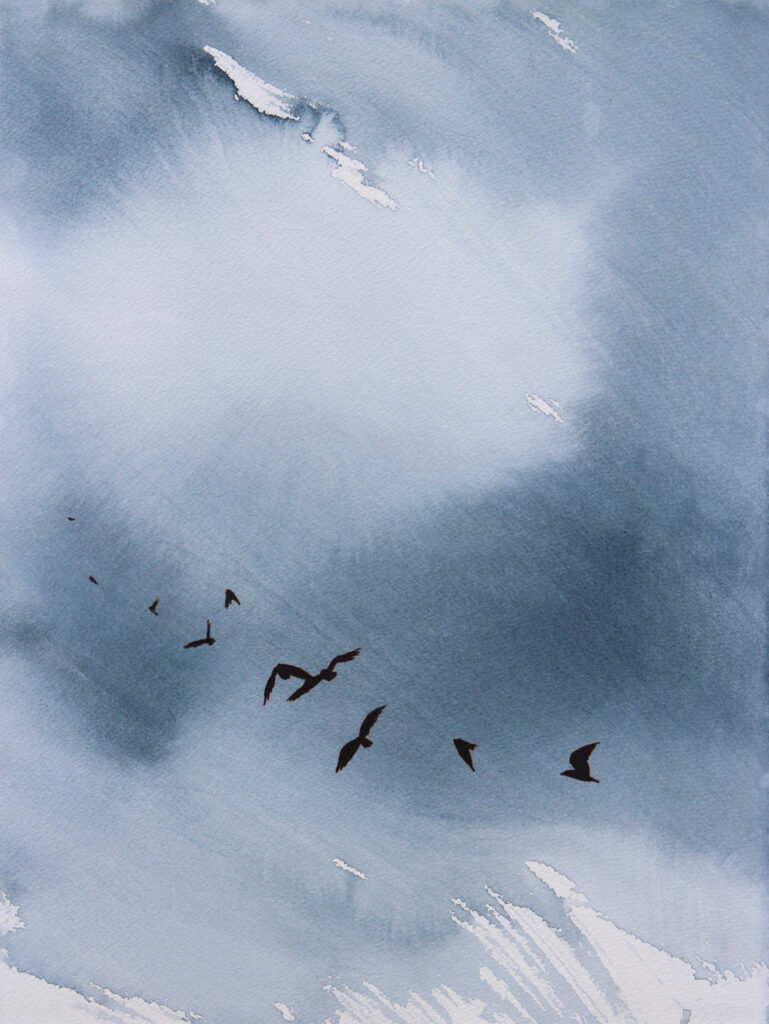 uccelli